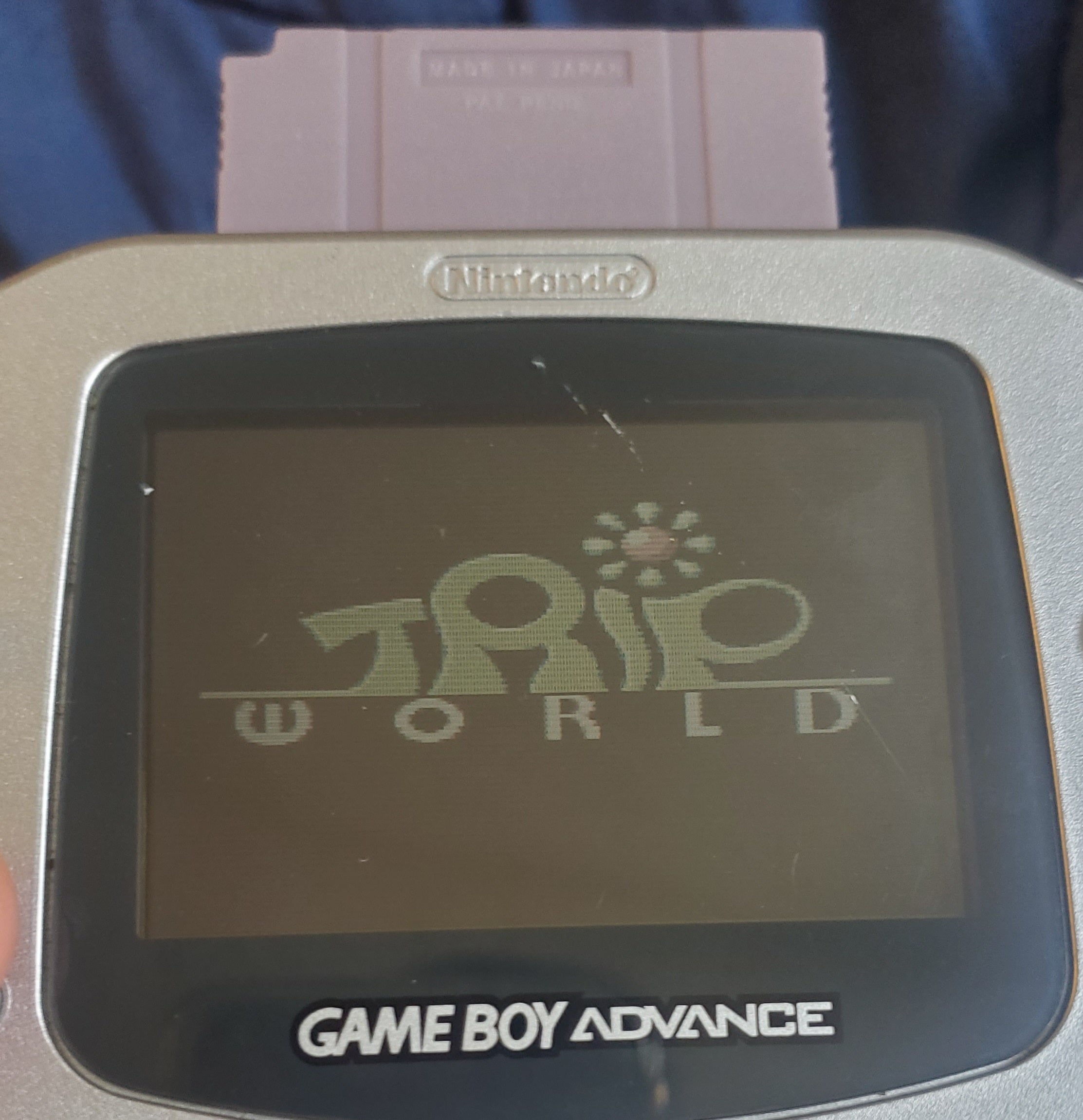 Trip World GB Video Game Catridge Gameboy