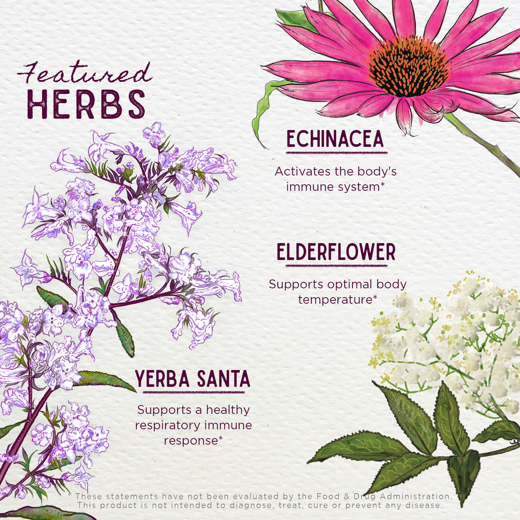 Congestion Rescue Immune Support for Pregnancy
