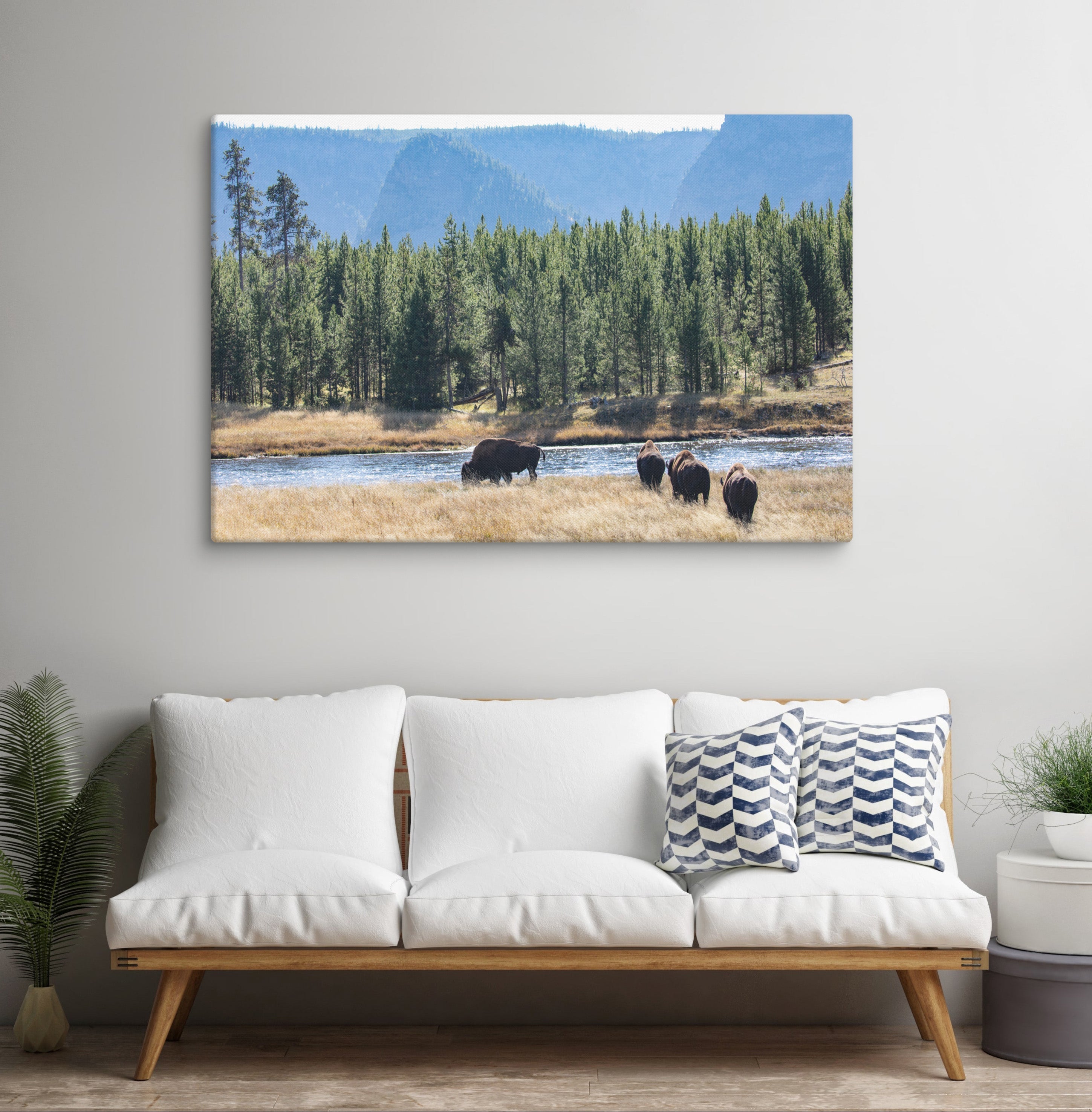 Buffalo by the River Canvas Wall Art