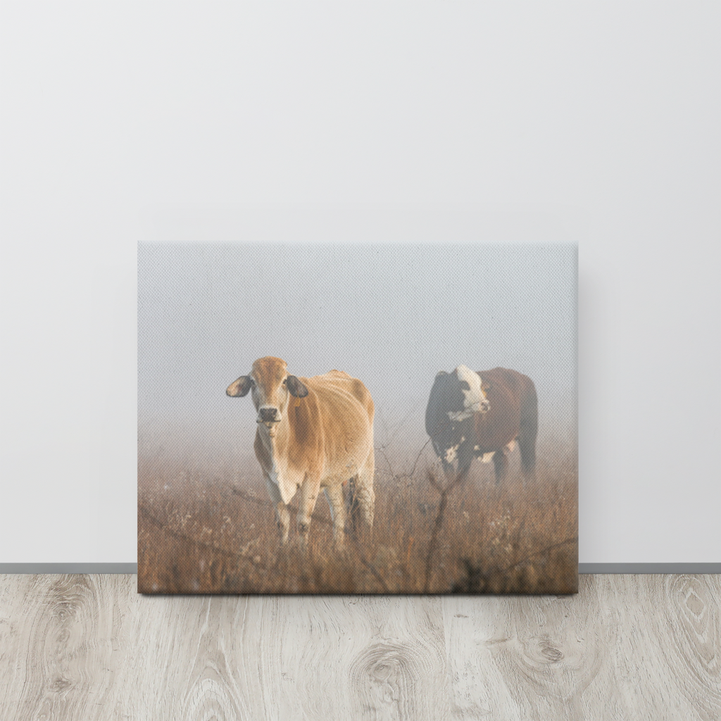 Cows in the Fog | Western Farmhouse Wall Art