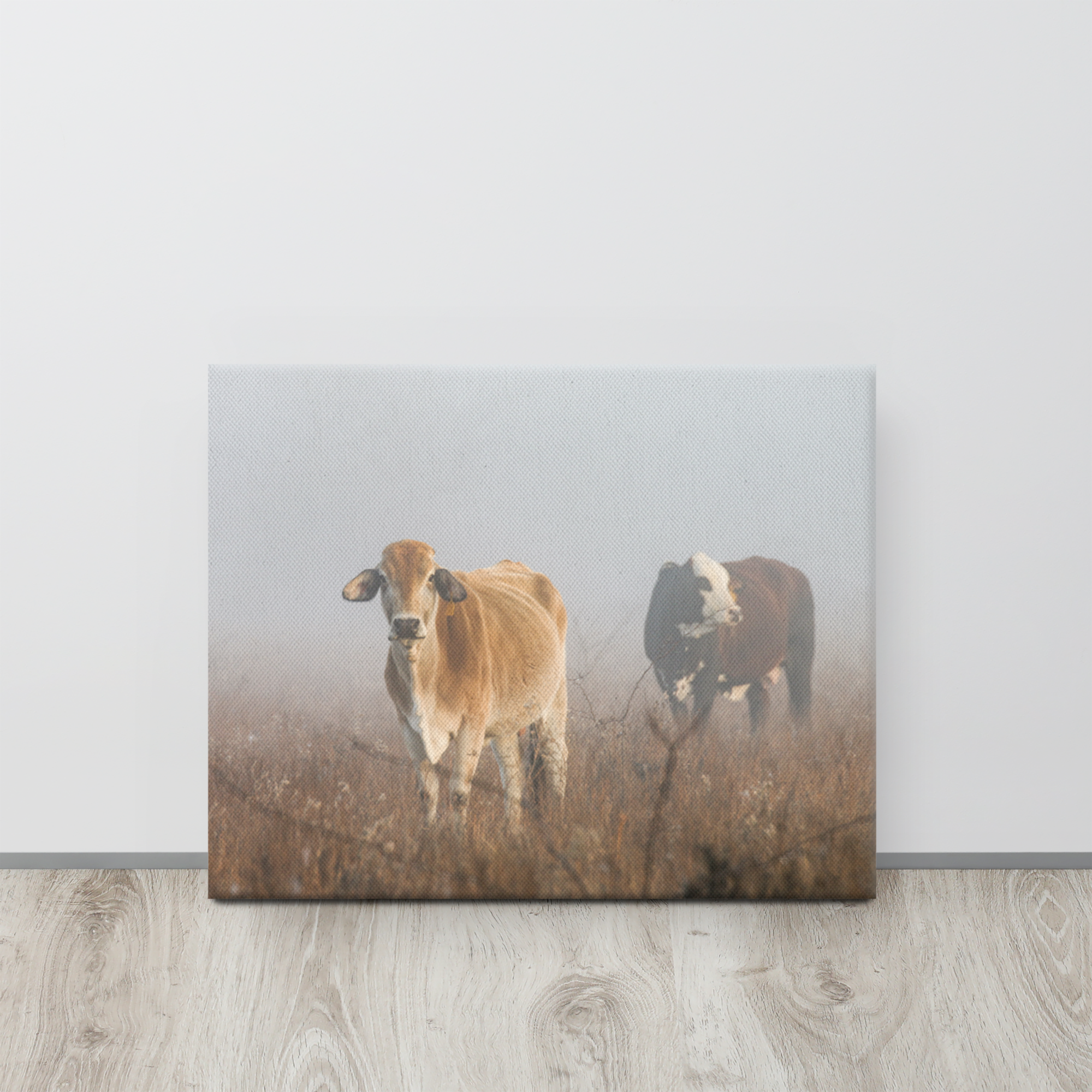 Cows in the Fog | Western Farmhouse Wall Art