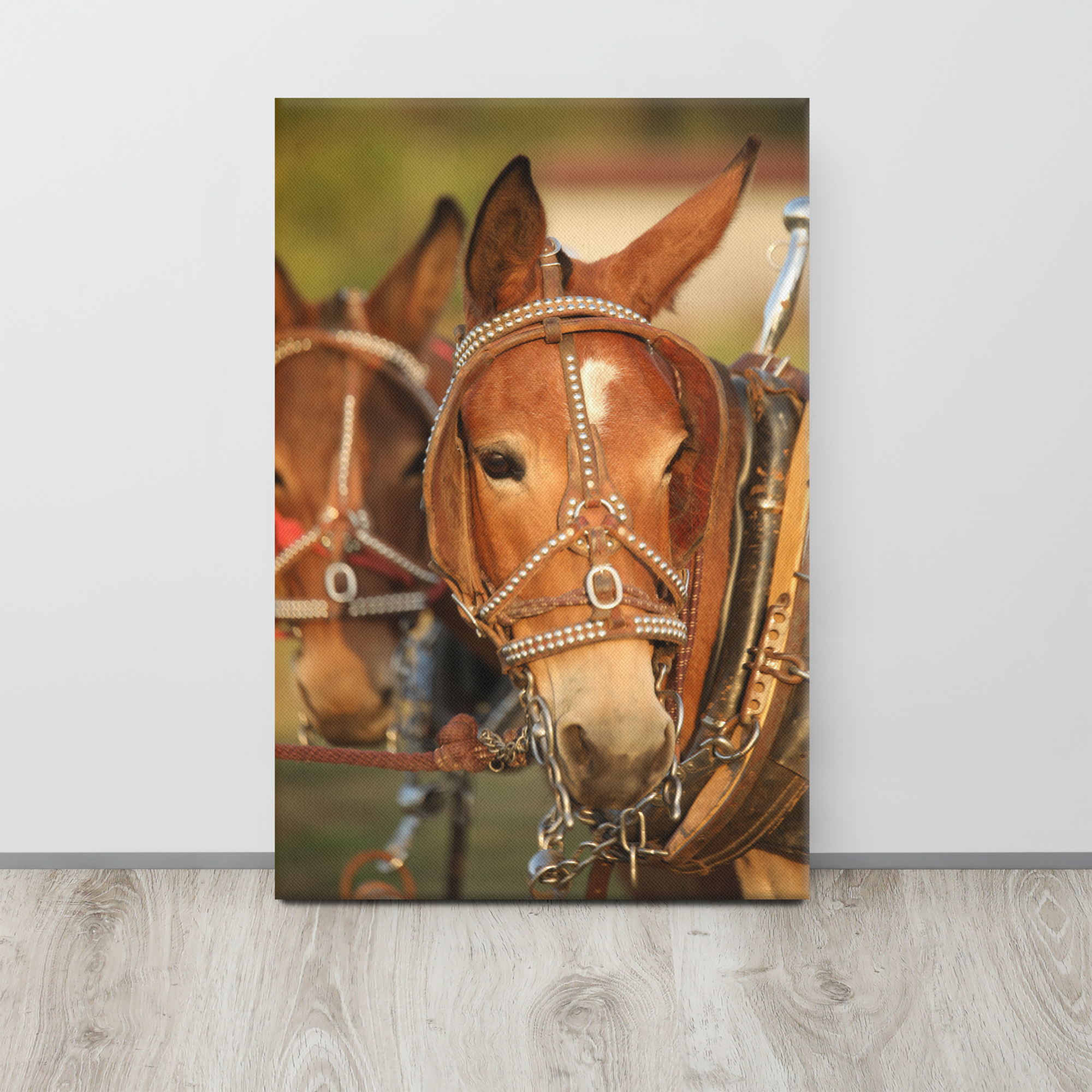 Mule Team Canvas Photo Wall Art | Western Farmhouse Rustic Home Decor