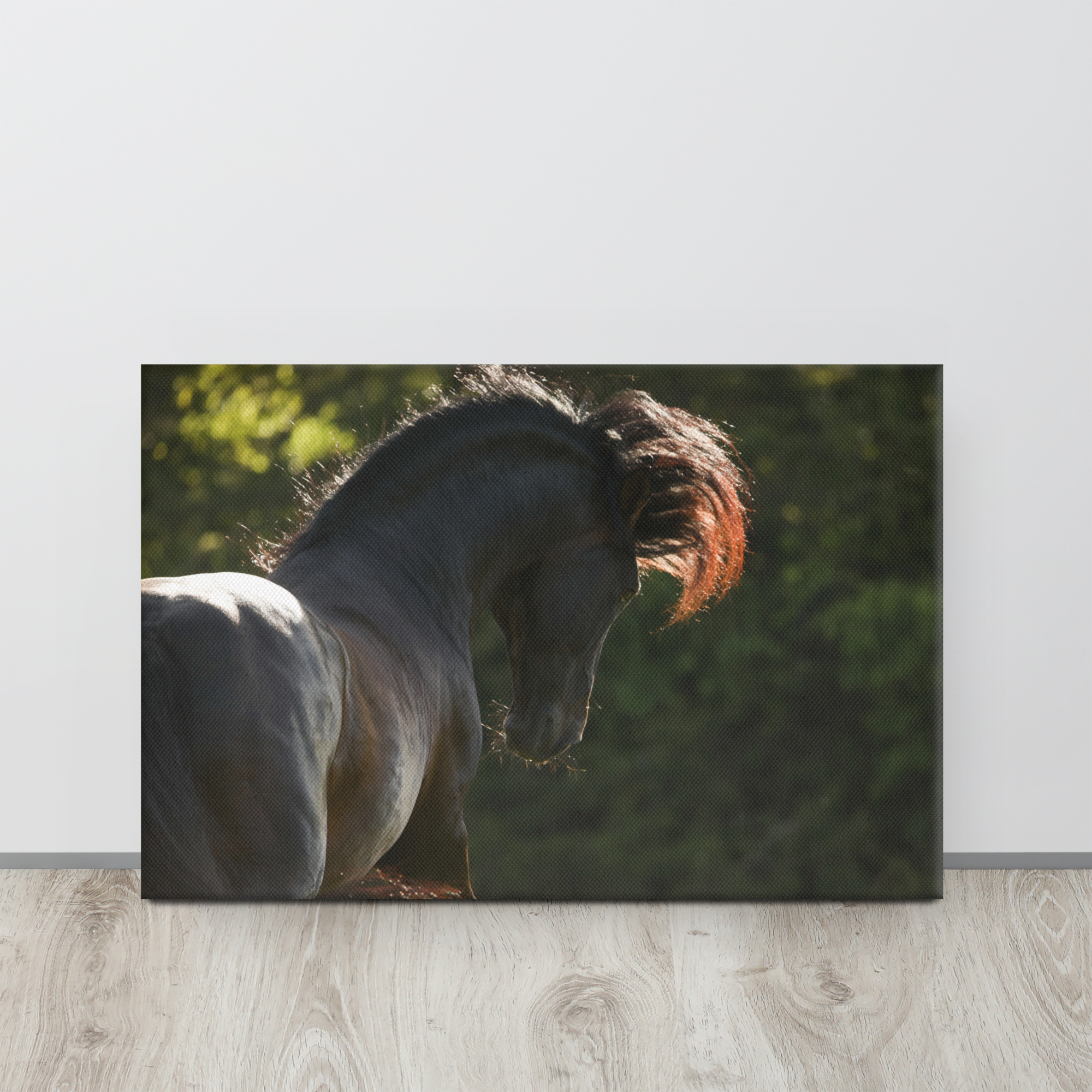 Equine Wall Art, Beautiful Horse Canvas Decor