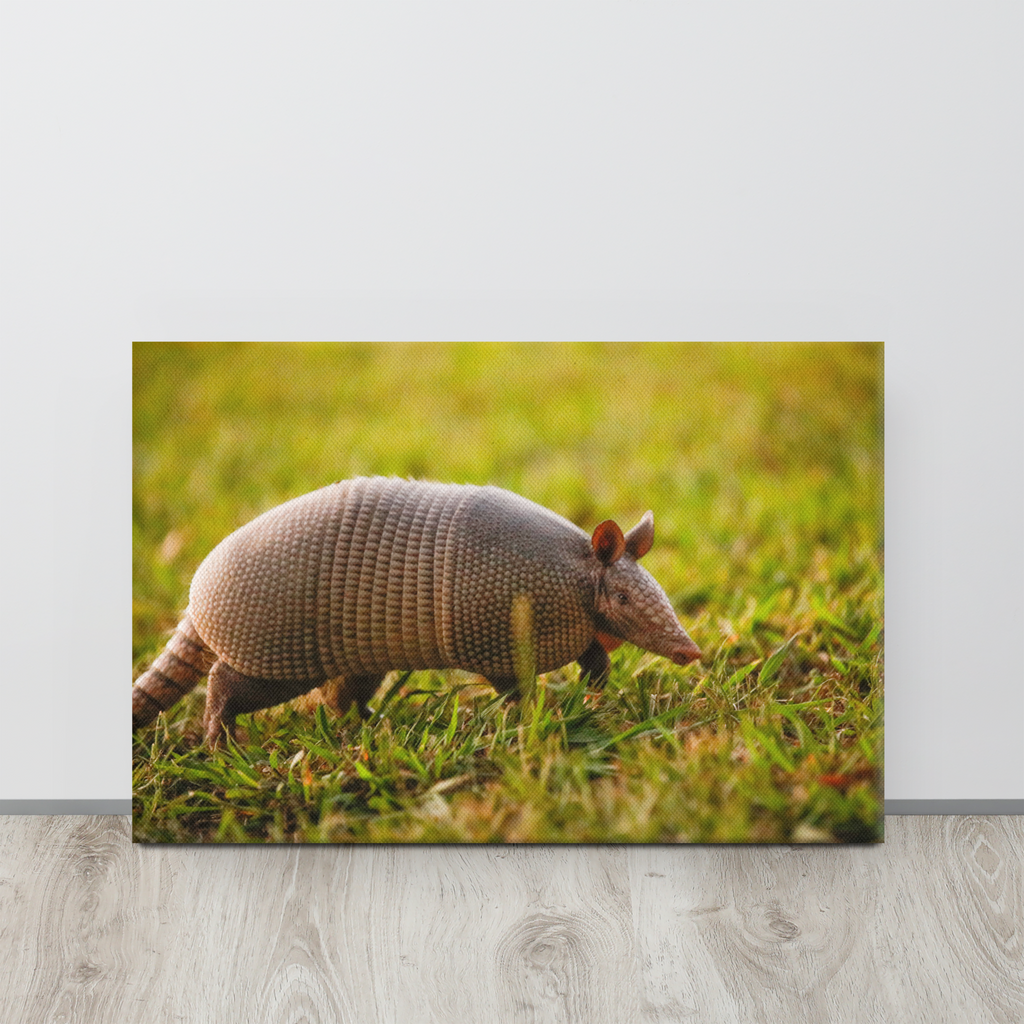 Armadillo Canvas Wall Art | Western Home Decor