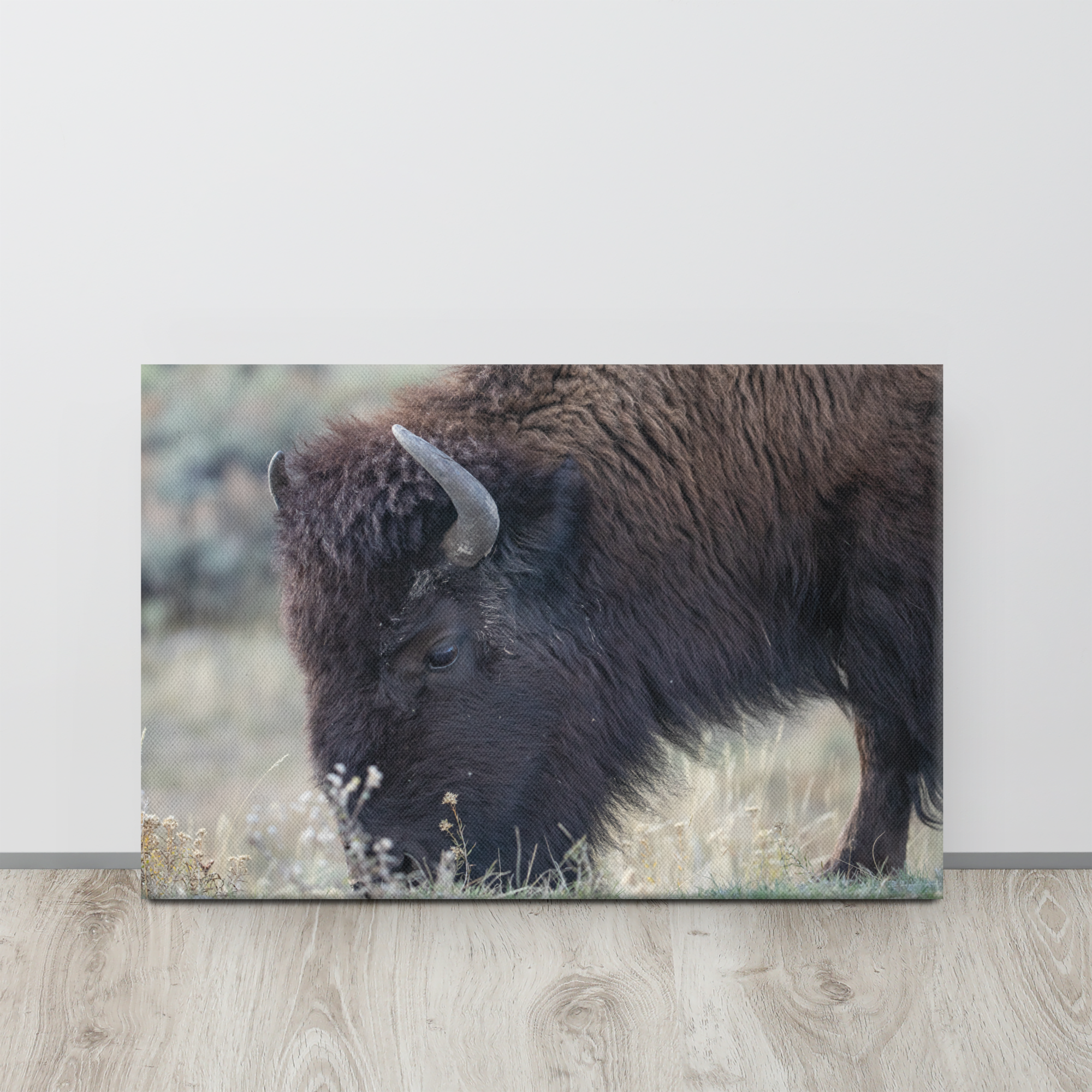 Bison Up Close Wall Art, Wildlife Photography Home Decor