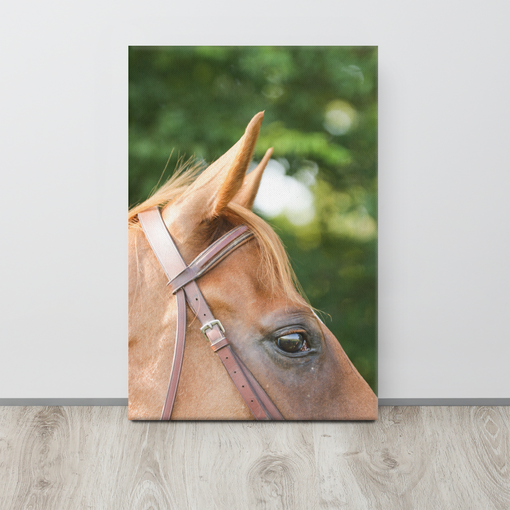 Chestnut Horse Close Up, Canvas Wall Art | Equestrian Home Decor