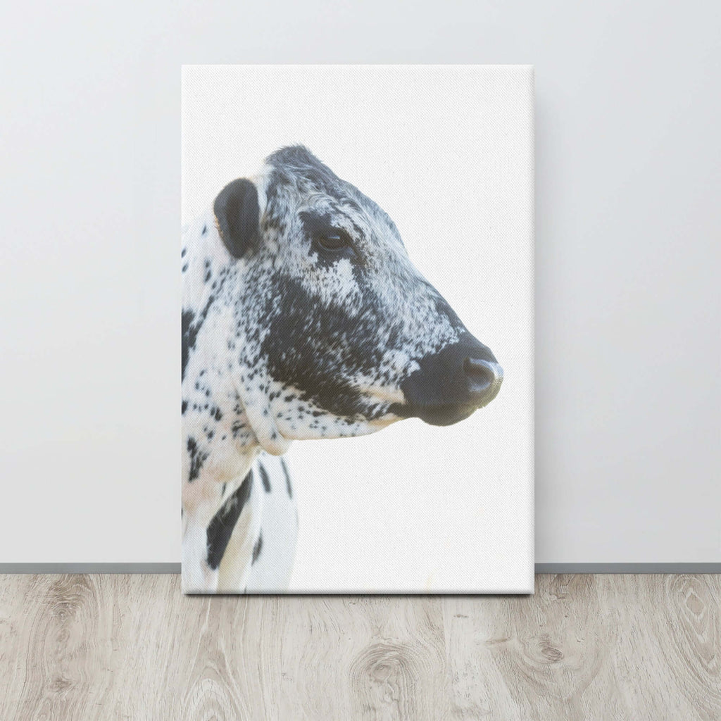 Black and White Cow