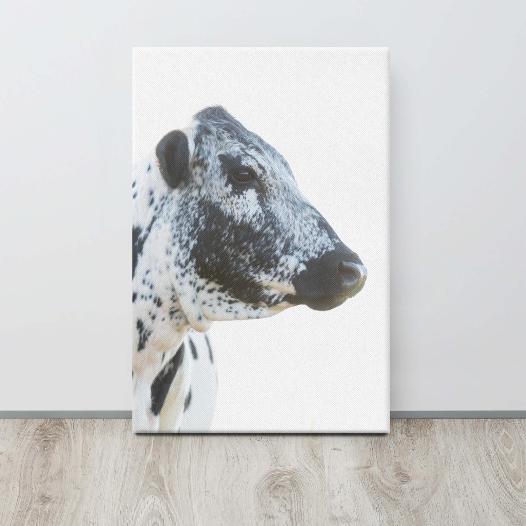 Black and White Cow