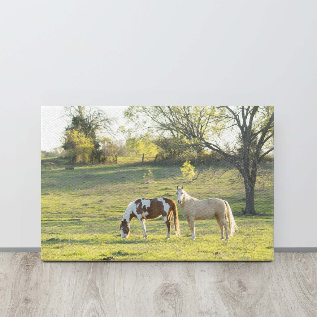 Horses in the Field