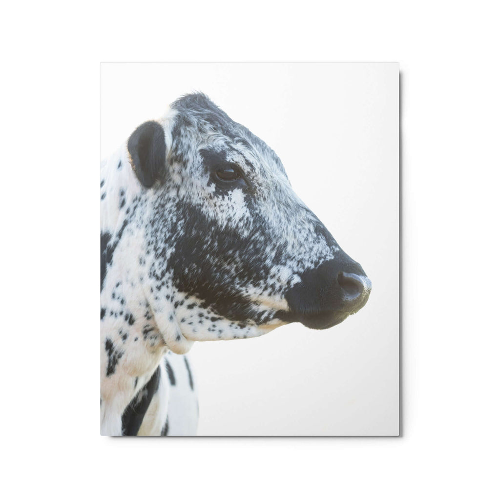 Black and White Cow