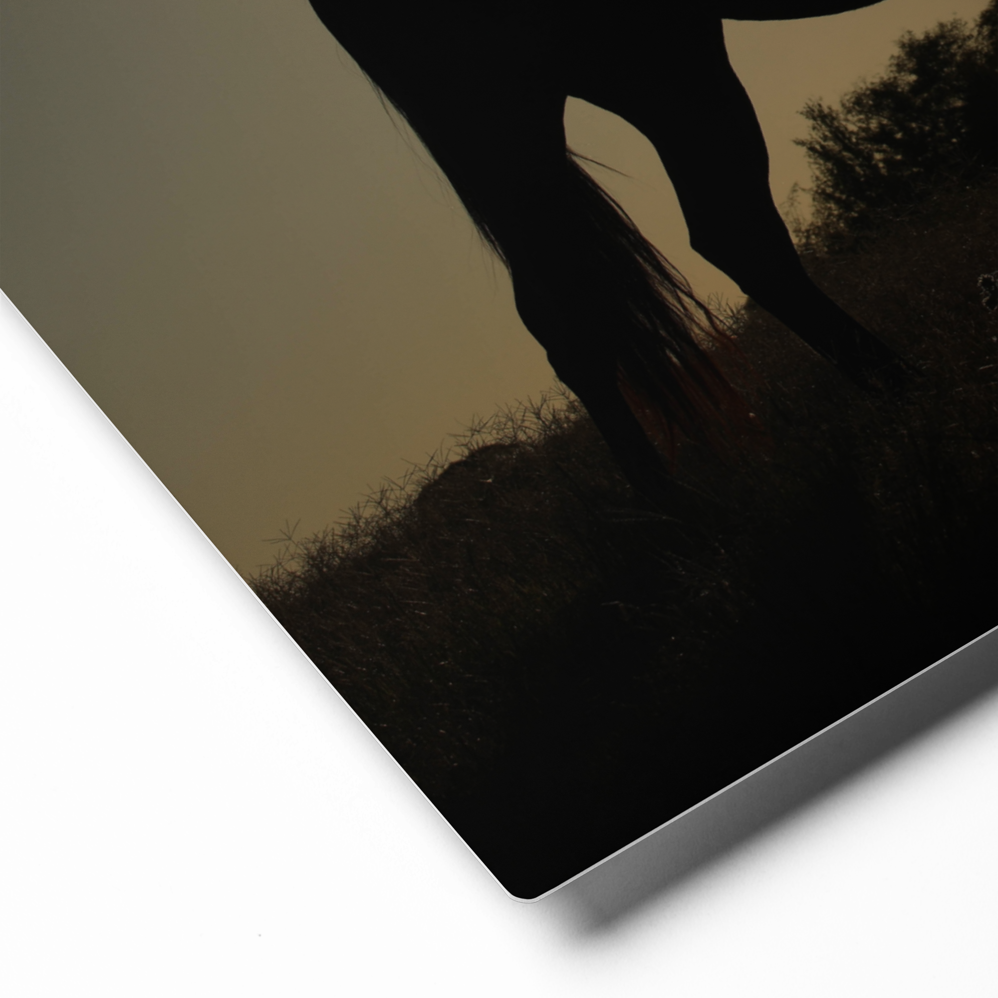 Cowgirl Silhouette Western Canvas, Farmhouse Wall Art, Horse Girl Vibes