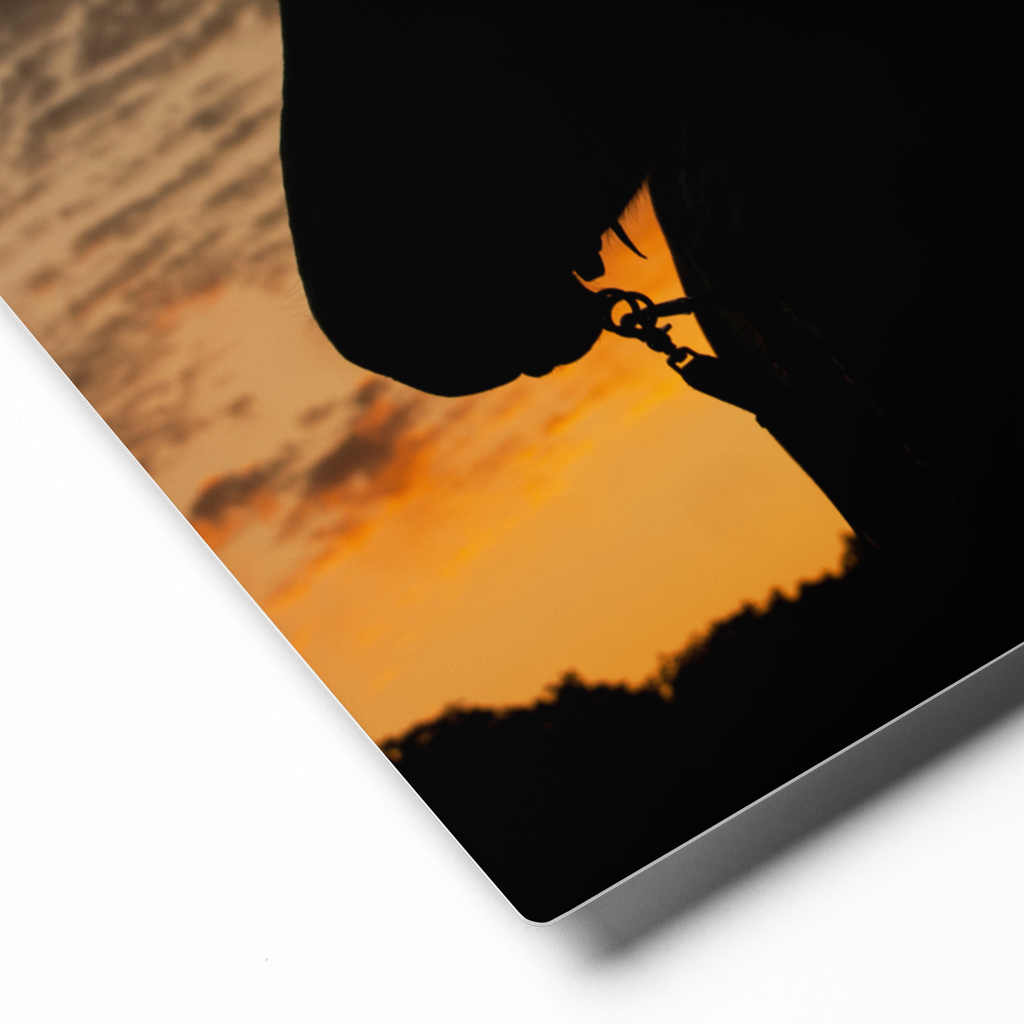 Cowgirl Sunset Silhouette Wall Art Western Home Decor