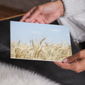 Golden Wheat Canvas, Agriculture Wall Art, Crops and Farmhouse Decor