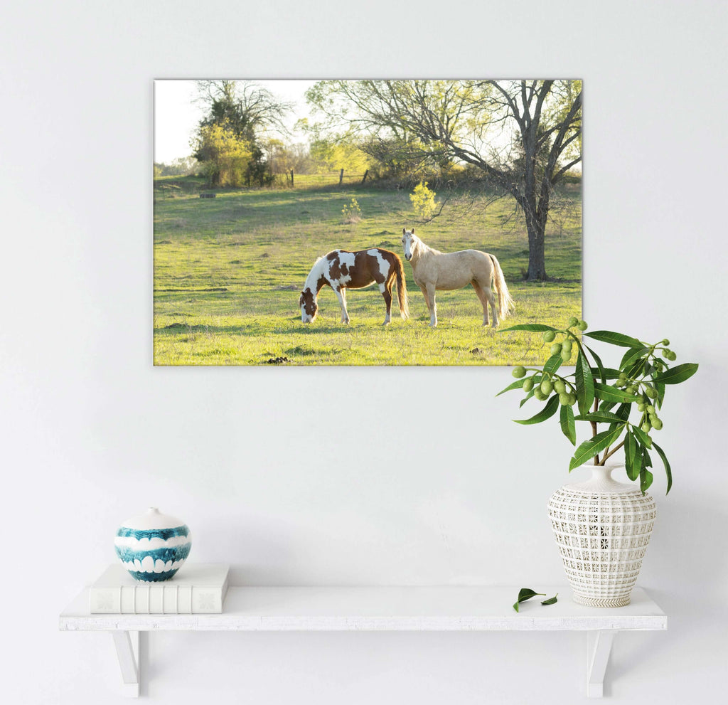 Horses in the Field