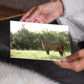 Horse in the Meadow Canvas Wall Art