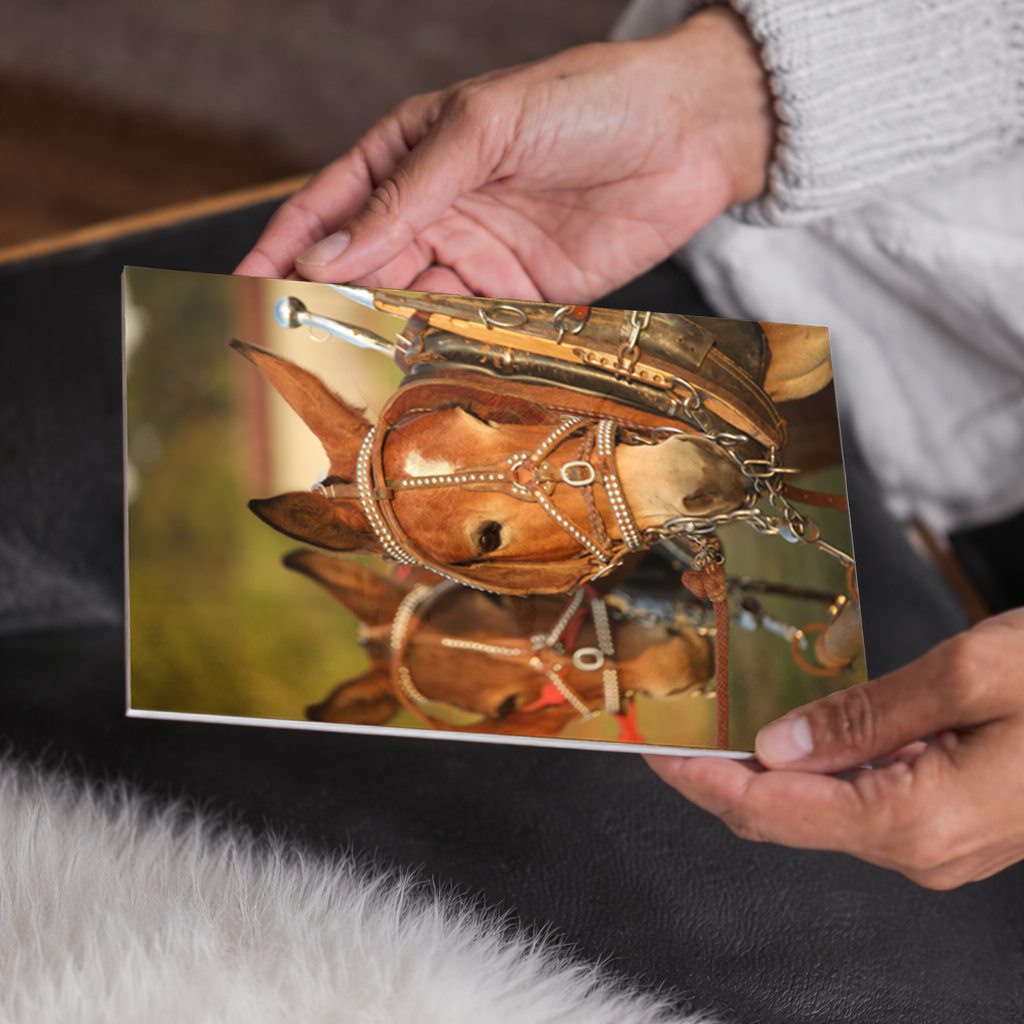 Mule Team Canvas Photo Wall Art | Western Farmhouse Rustic Home Decor