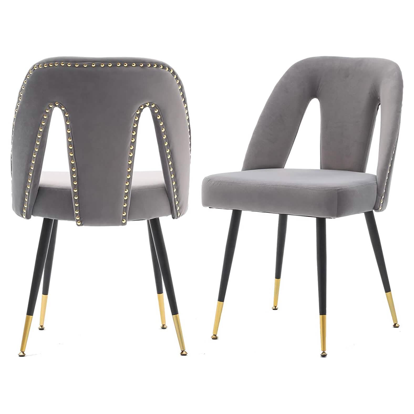 Set of 2: Modern Dining Chairs