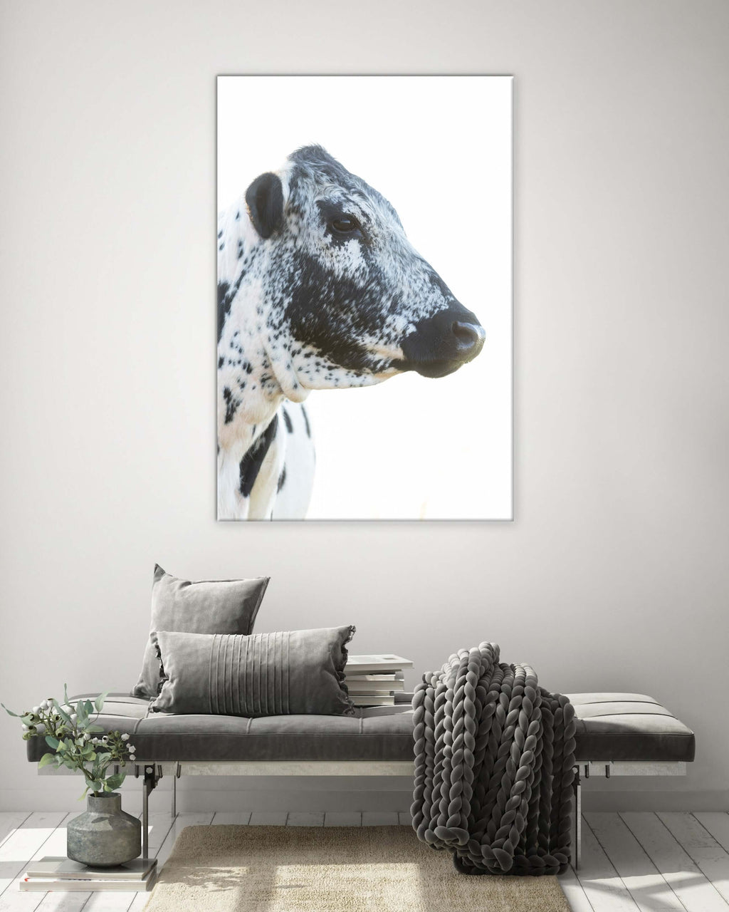 Black and White Cow